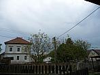 Třibřichy
